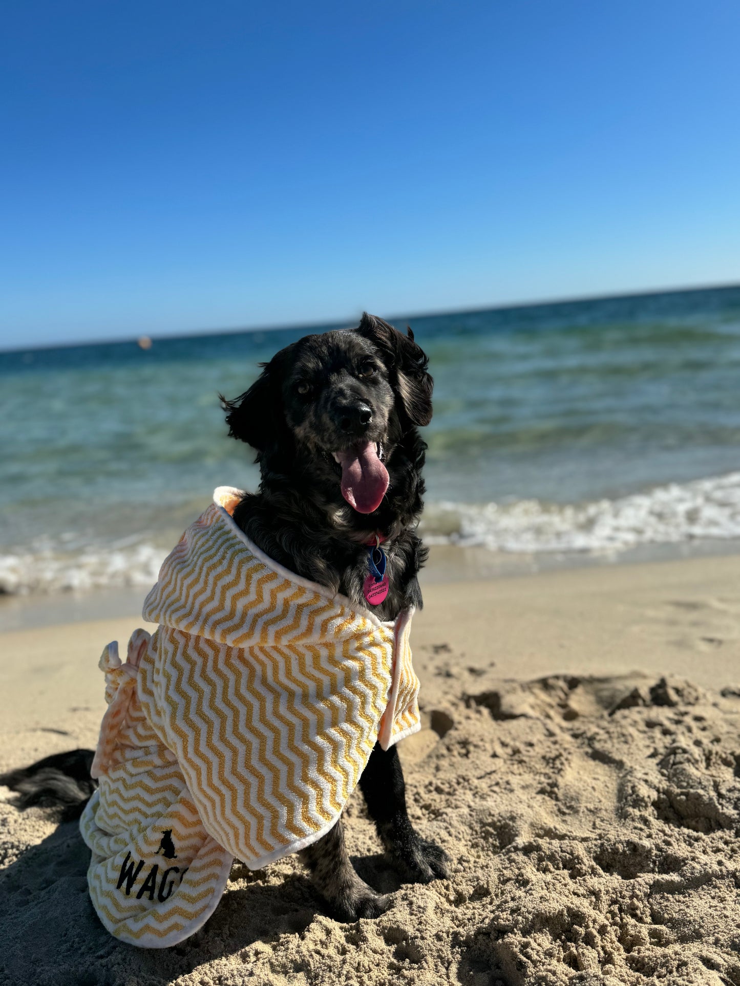 Yellow Dog Towell