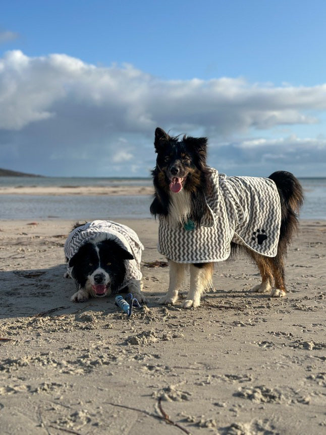 Grey Dog Towel