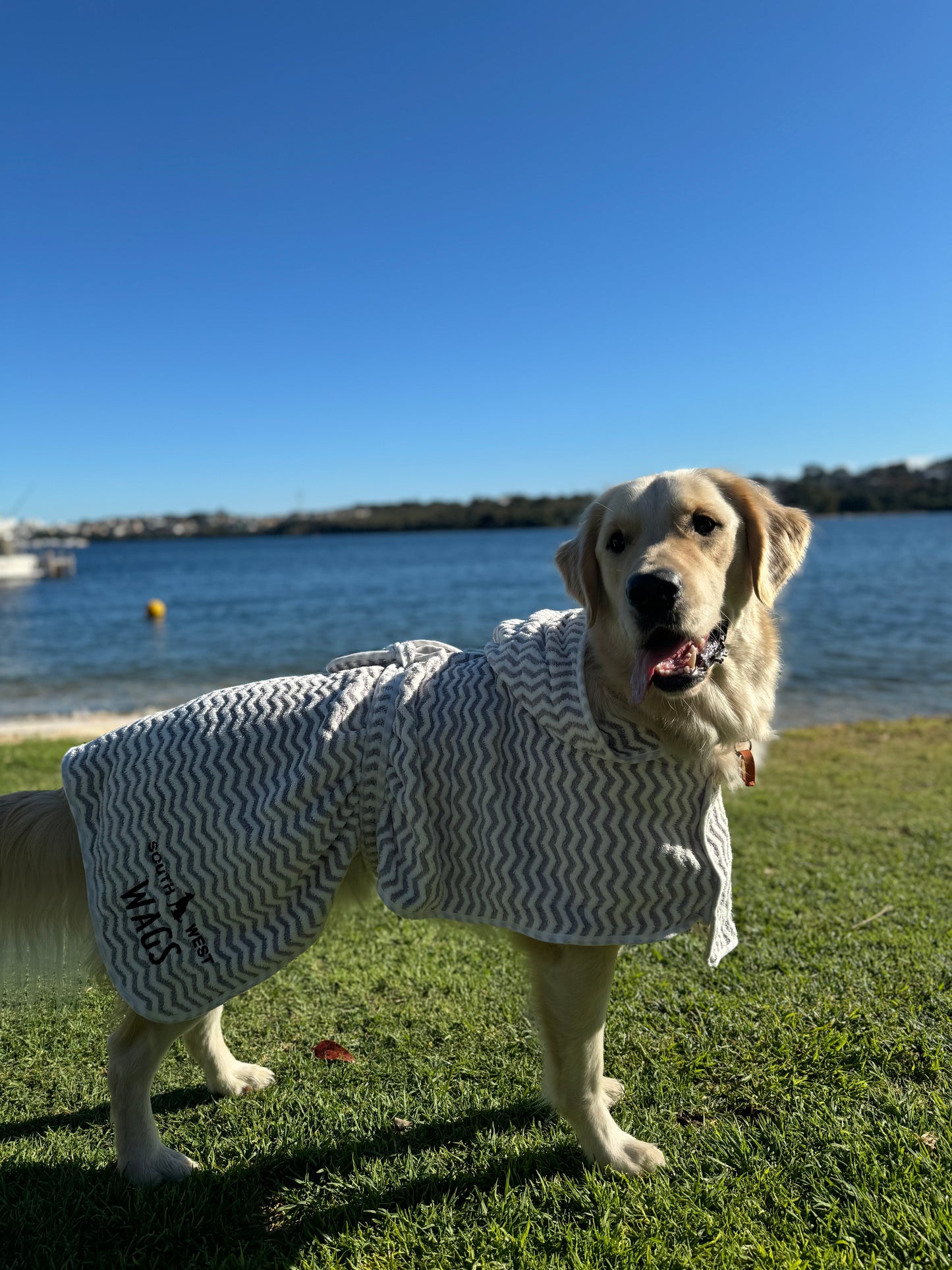 Grey Dog Towel