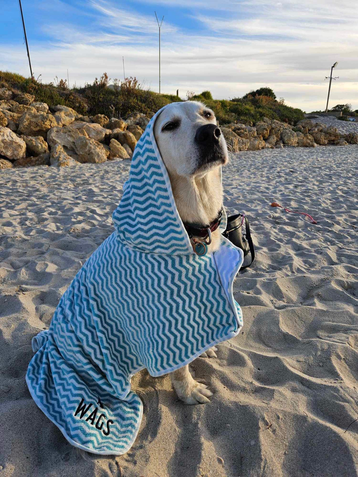 Blue Dog Towel