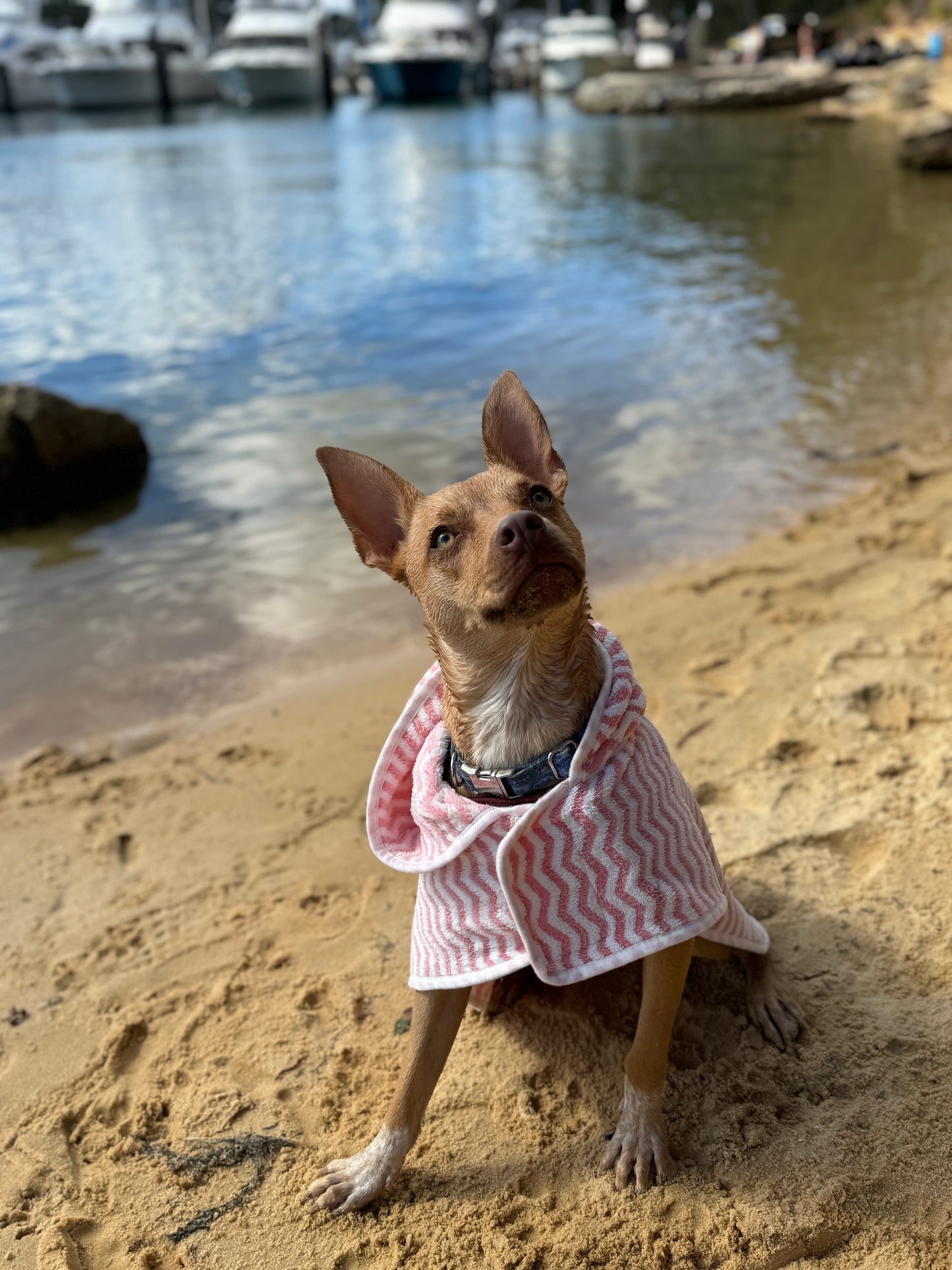 Pink Towel