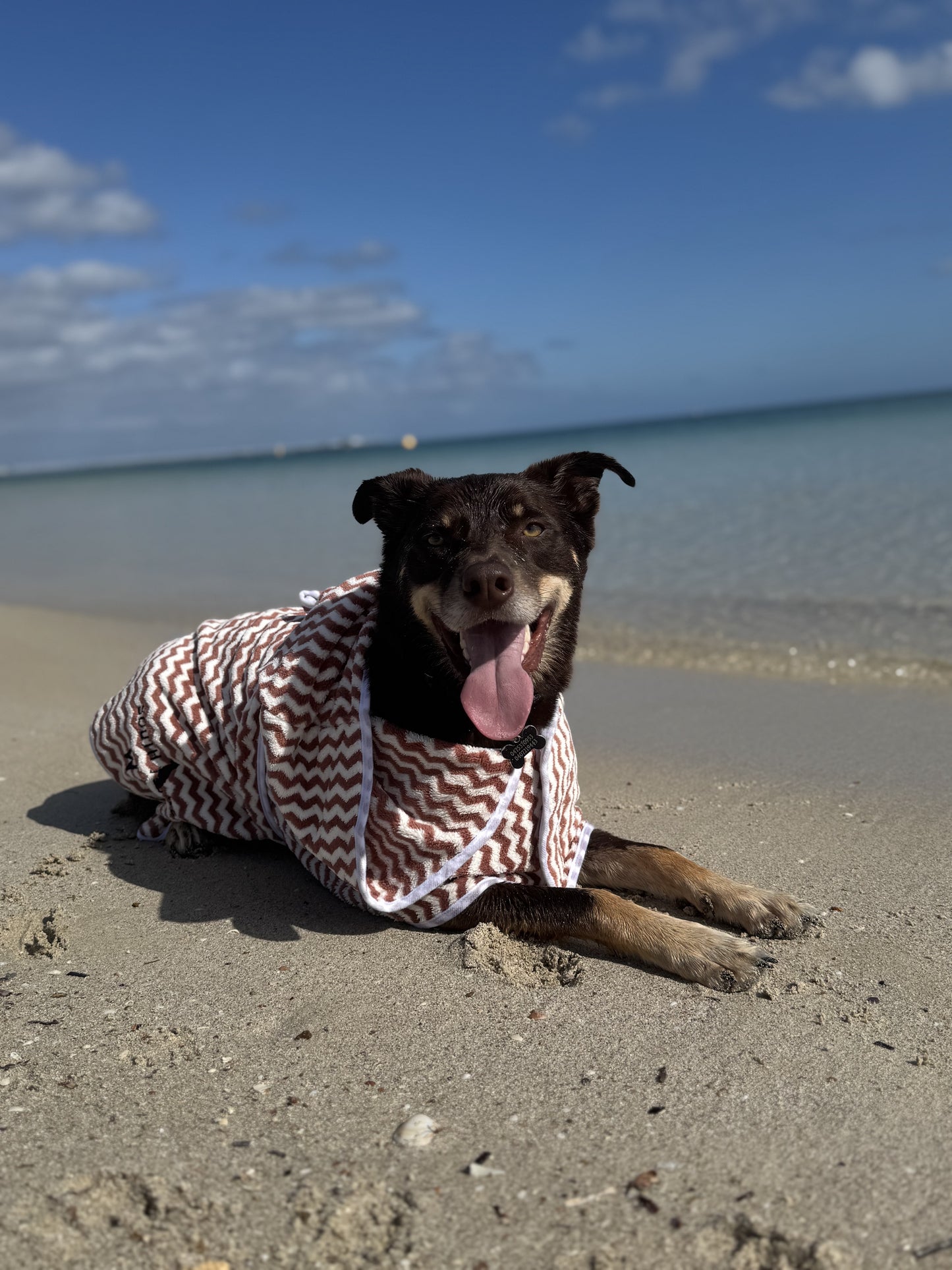 Chocolate Dog Towel