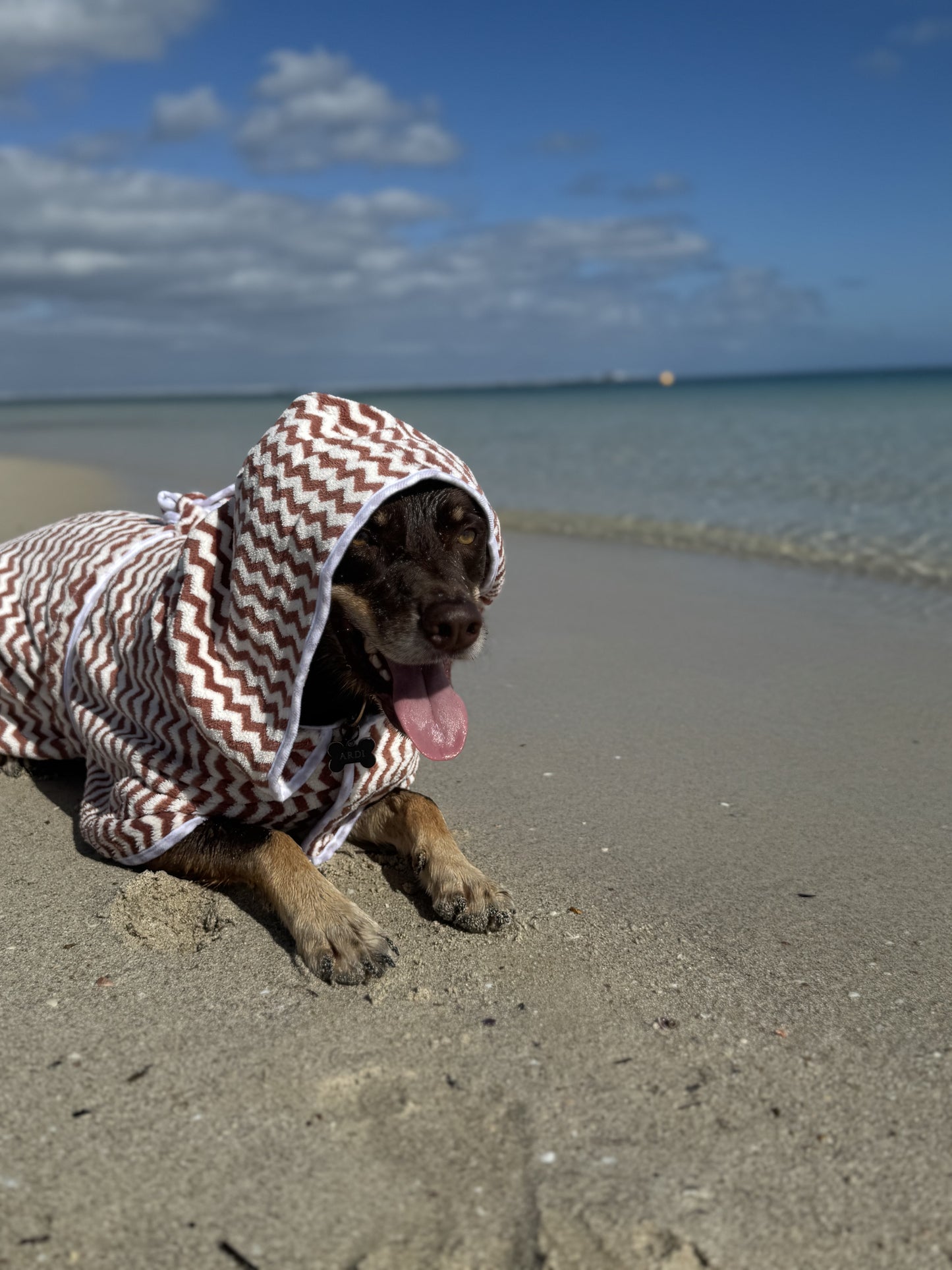 Chocolate Dog Towel