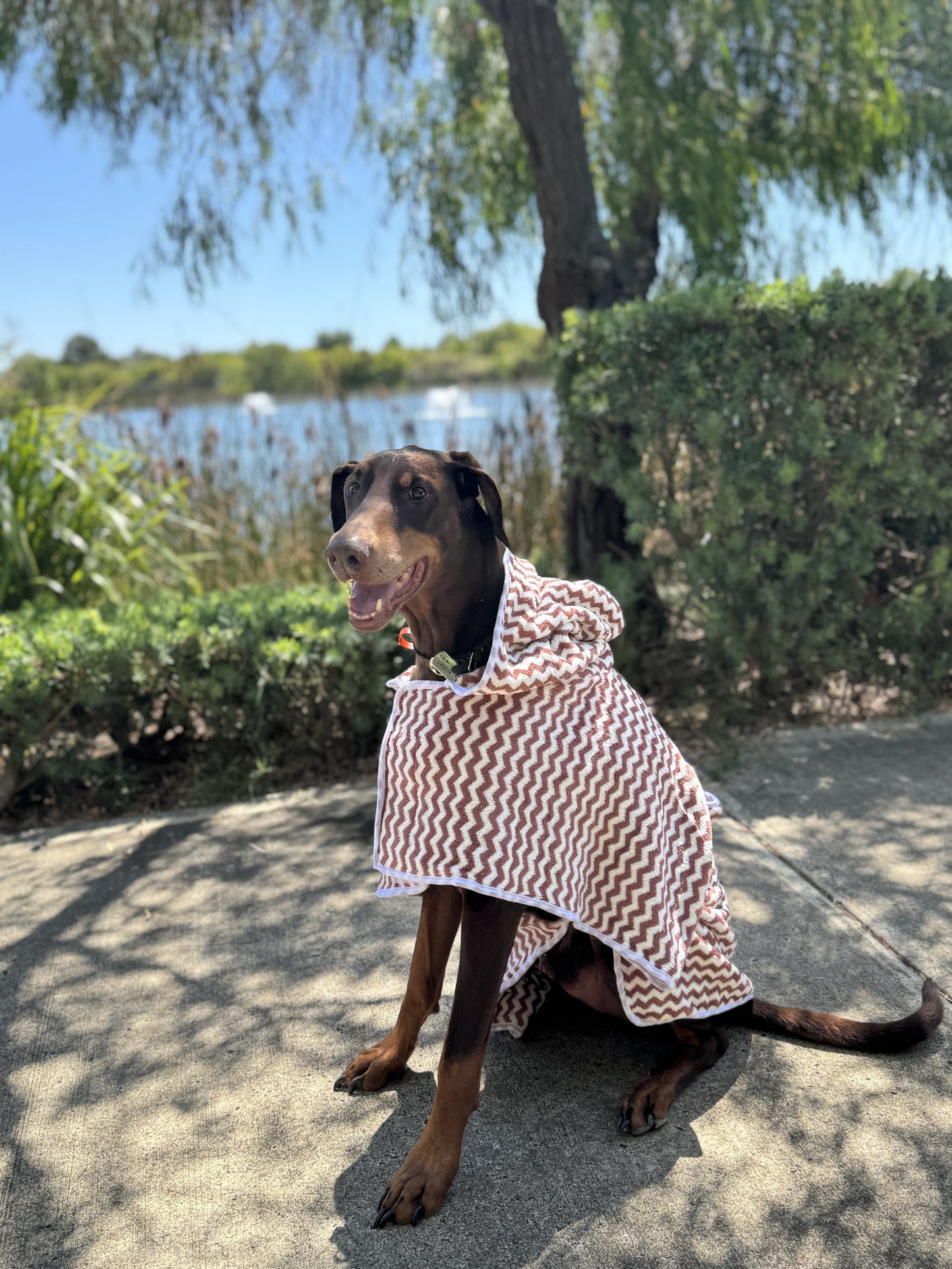 Chocolate Dog Towel