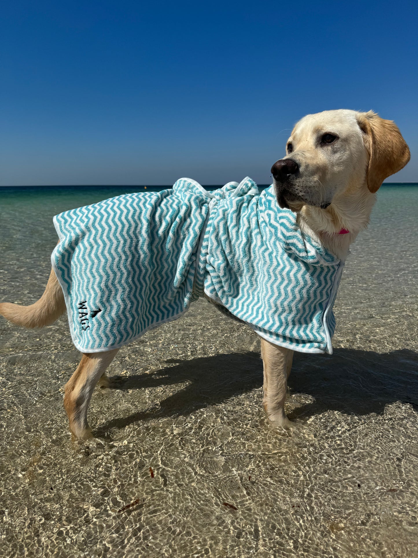 Blue Dog Towel