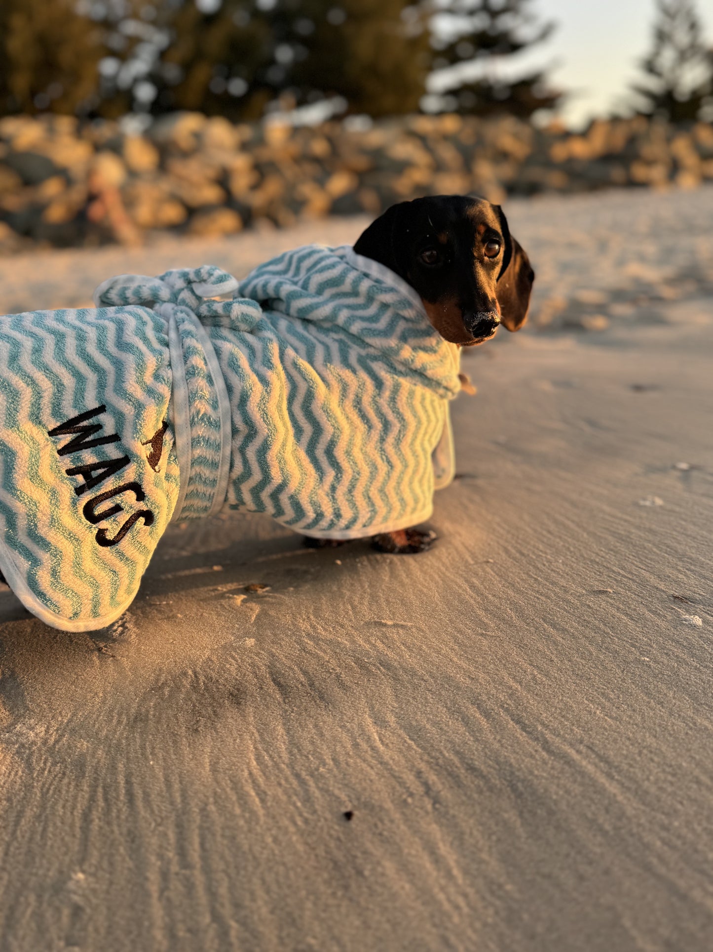 Blue Dog Towel