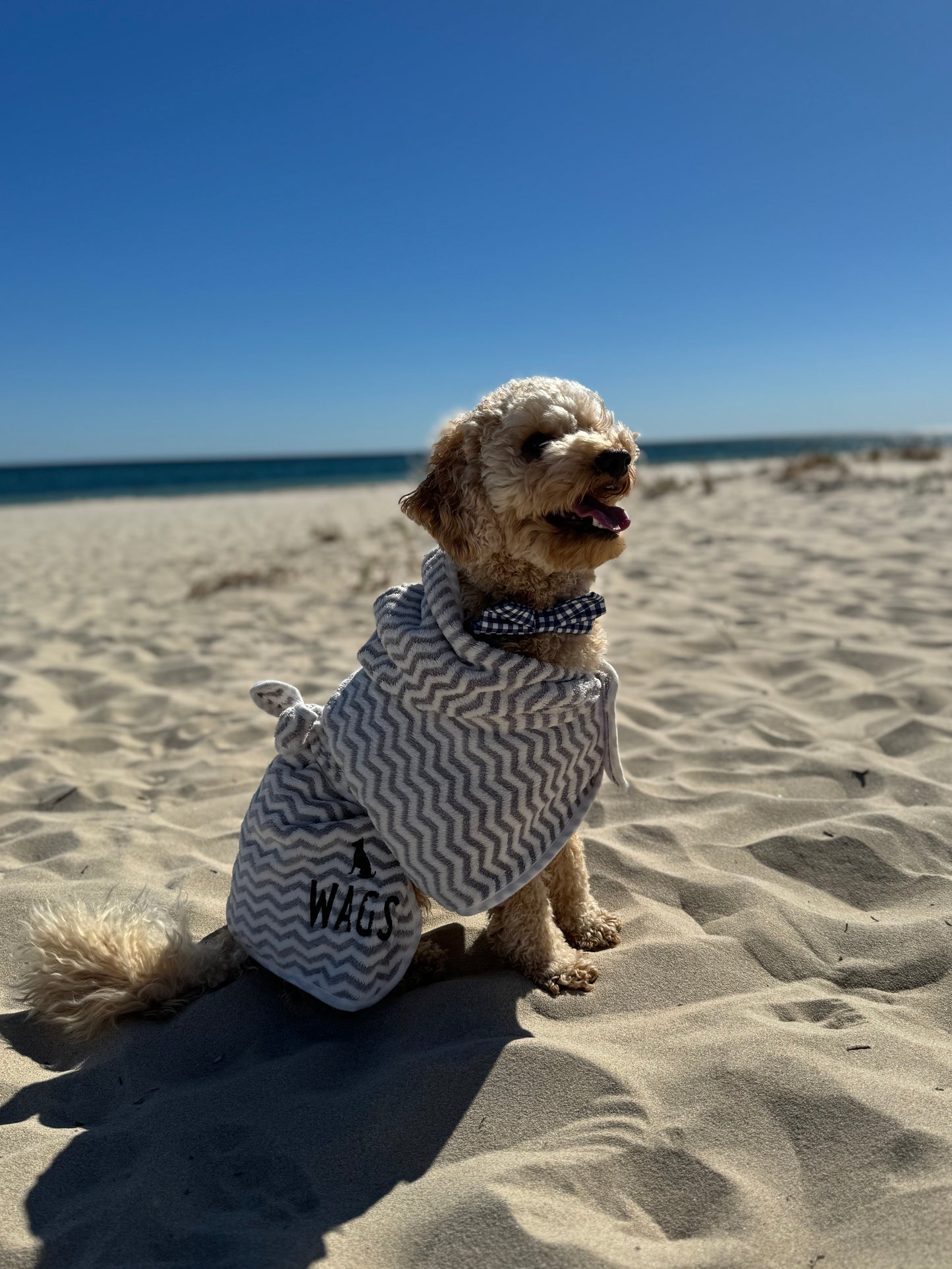 Grey Dog Towel